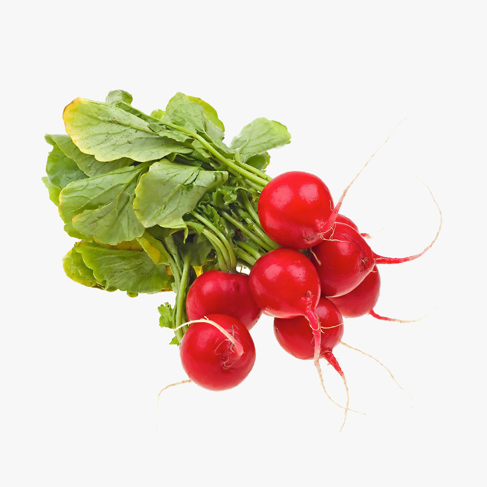 Organic_components_10