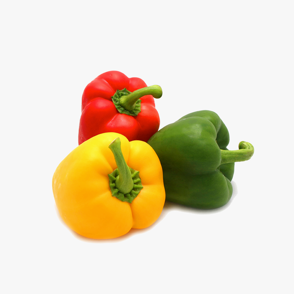 Organic_components_2