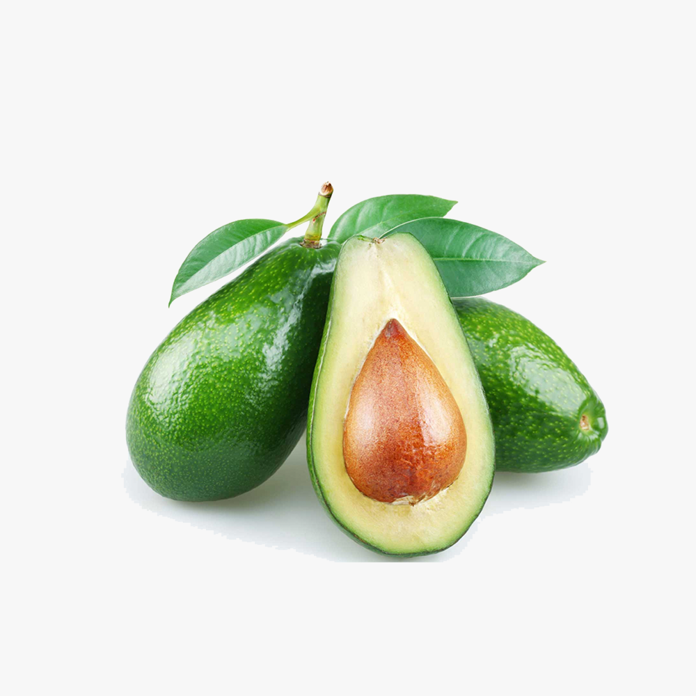 Organic_components_7